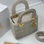 صورة ليدي ديور مع علبة Dior ، لون سكري
