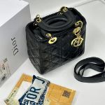 صورة ليدي ديور مع علبة Dior ، لون سكري
