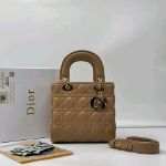 صورة ليدي ديور مع علبة Dior ، لون سكري